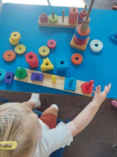 Little Starlings photo 11