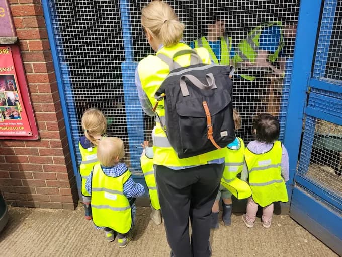 Little Starlings photo 12