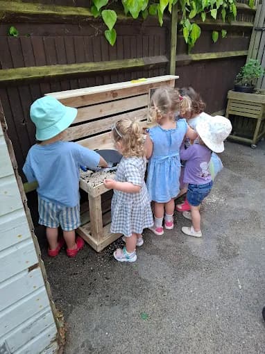 Little Starlings photo 4