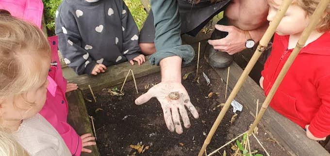 Little Starlings photo 5