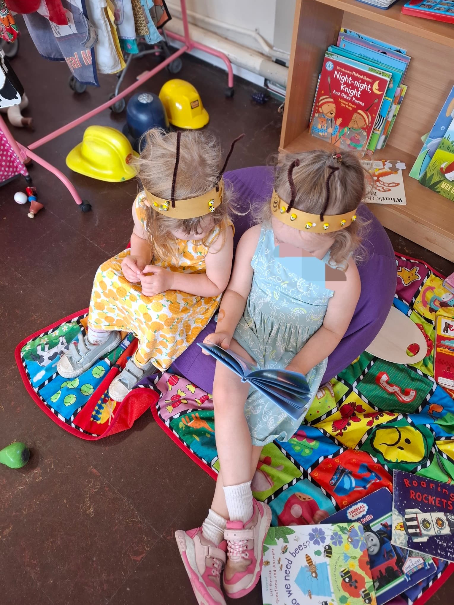 Little Starlings photo 10