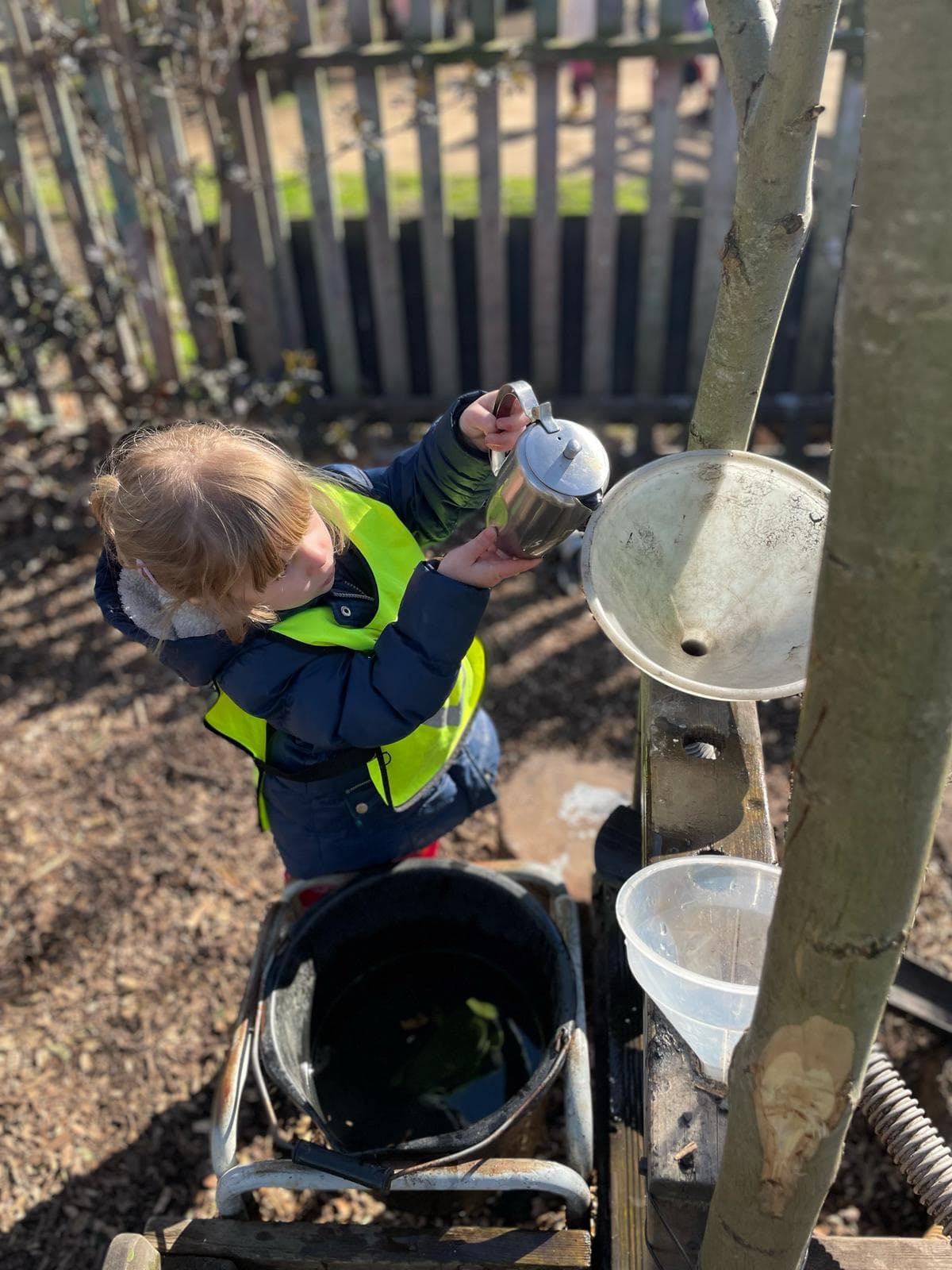 Little Starlings photo 14