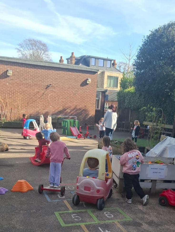 Little Starlings photo 15